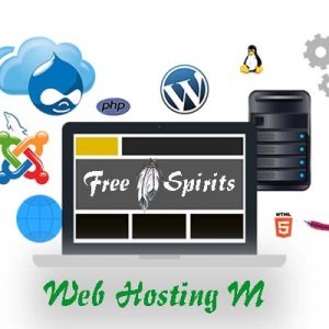 web hosting m