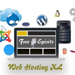 web hosting xl