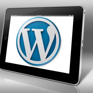 How can I customize the appearance of my WordPress website?