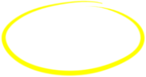 Get 10,000+ GPL-Licensed WP Premium Plugins & Themes - VIP All-Access Membership 2 yellow line