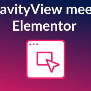 gravityview article 311025