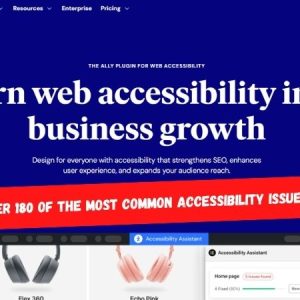 elementor ally 1112025 900X450Banner